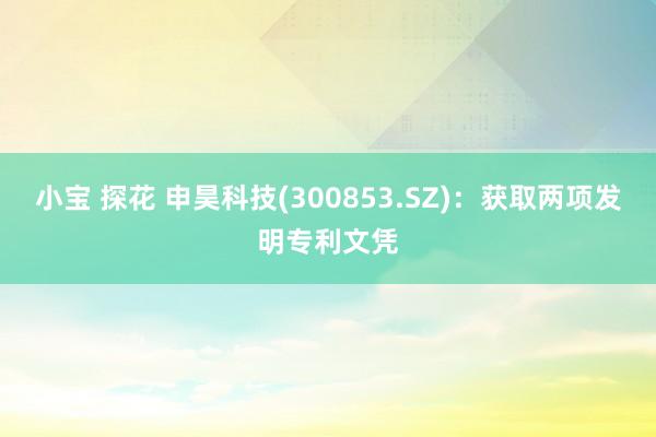 小宝 探花 申昊科技(300853.SZ)：获取两项发明专利文凭