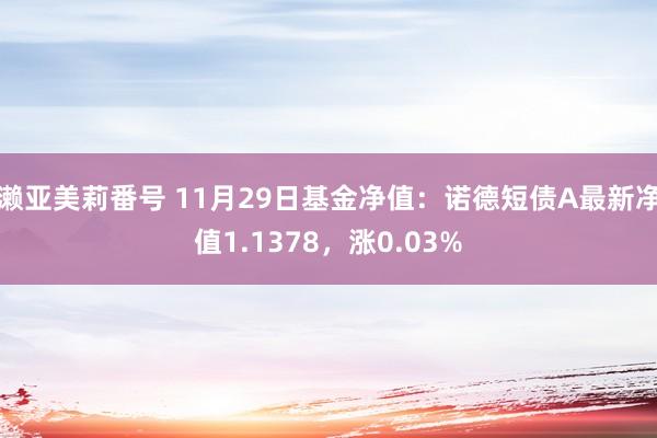 濑亚美莉番号 11月29日基金净值：诺德短债A最新净值1.1378，涨0.03%
