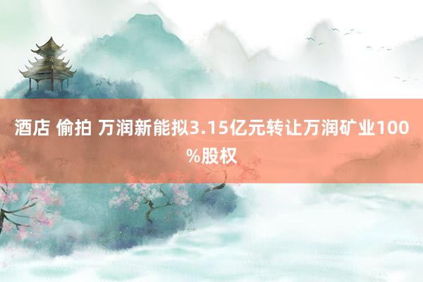 酒店 偷拍 万润新能拟3.15亿元转让万润矿业100%股权