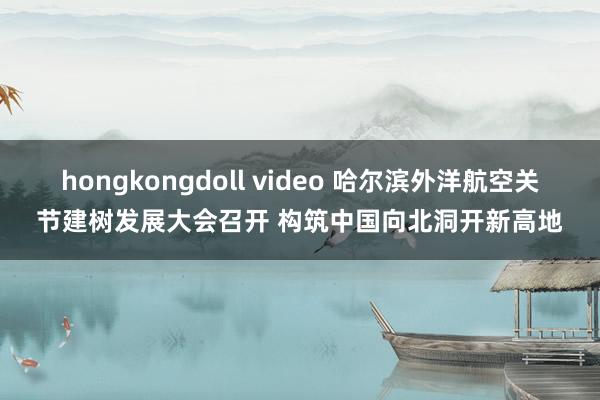 hongkongdoll video 哈尔滨外洋航空关节建树发展大会召开 构筑中国向北洞开新高地