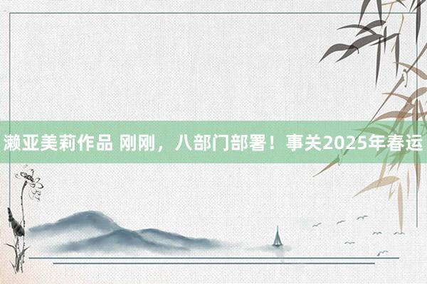 濑亚美莉作品 刚刚，八部门部署！事关2025年春运