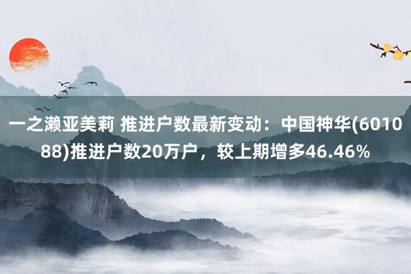 一之濑亚美莉 推进户数最新变动：中国神华(601088)推进户数20万户，较上期增多46.46%