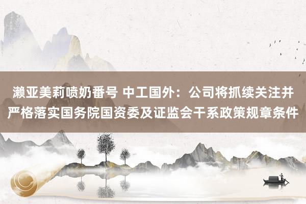 濑亚美莉喷奶番号 中工国外：公司将抓续关注并严格落实国务院国资委及证监会干系政策规章条件