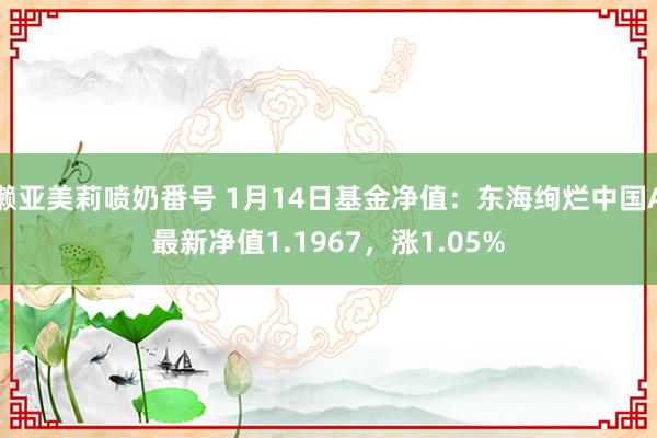 濑亚美莉喷奶番号 1月14日基金净值：东海绚烂中国A最新净值1.1967，涨1.05%