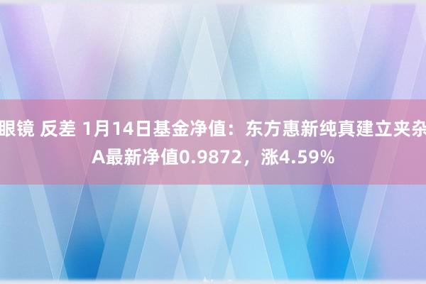眼镜 反差 1月14日基金净值：东方惠新纯真建立夹杂A最新净值0.9872，涨4.59%