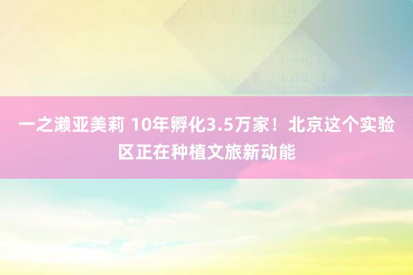 一之濑亚美莉 10年孵化3.5万家！北京这个实验区正在种植文旅新动能