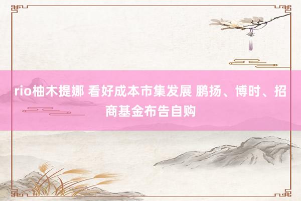 rio柚木提娜 看好成本市集发展 鹏扬、博时、招商基金布告自购