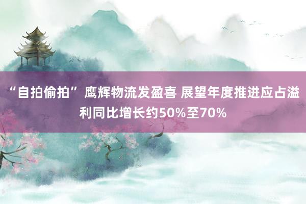 “自拍偷拍” 鹰辉物流发盈喜 展望年度推进应占溢利同比增长约50%至70%