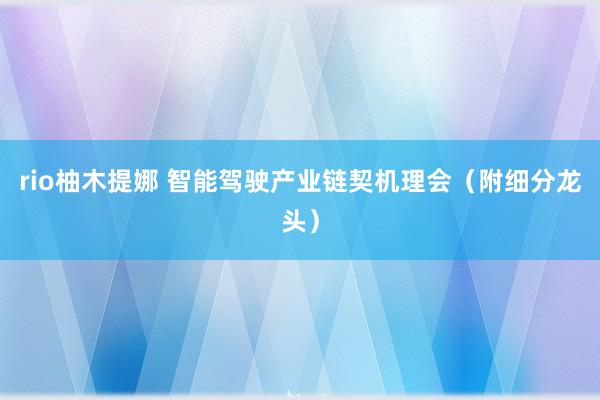 rio柚木提娜 智能驾驶产业链契机理会（附细分龙头）