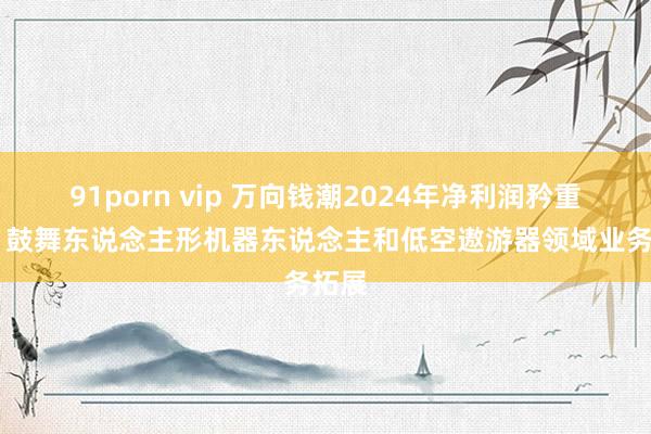 91porn vip 万向钱潮2024年净利润矜重增长 鼓舞东说念主形机器东说念主和低空遨游器领域业务拓展